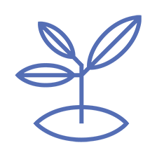 Simple blue line drawing of a small plant with three leaves emerging from a base shaped like an oval. The design is minimalistic and symmetrical, set against a transparent background.