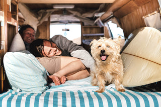 A small, fluffy dog with its tongue out stands at the forefront of a cozy van interior. In the background, two people are joyfully relaxing on bedding, surrounded by pillows and a surfboard. The scene is warm and inviting.